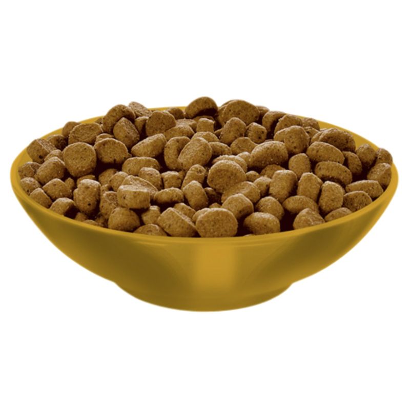 Cat Food Manufacturer Cat Food Supplier and Exporter from Chennai