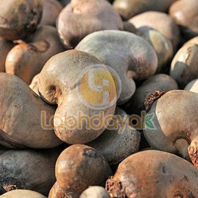 Benin Raw Cashew Nuts