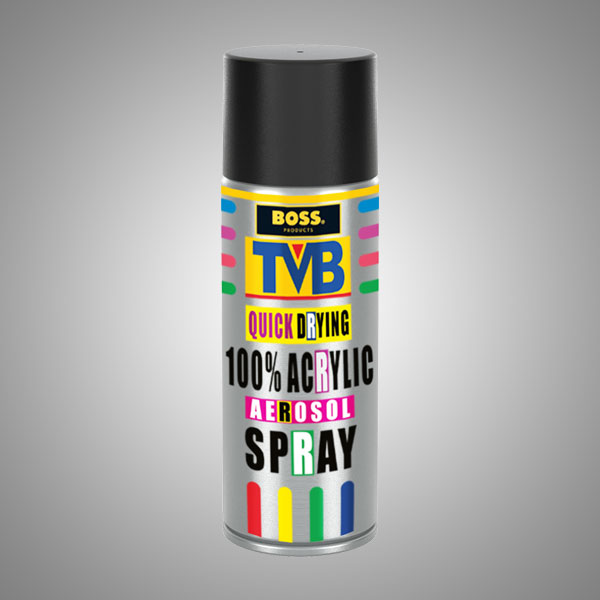 BOSS TVB Spray Paint