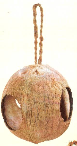 Three Hole Coconut Bird Feeder