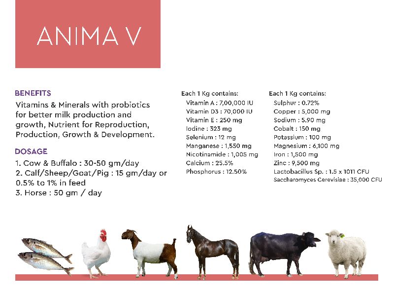 Anima V Cattle Feeds Supplements