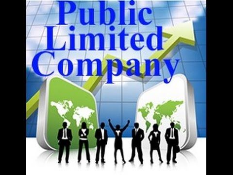 Public Limited Company Service