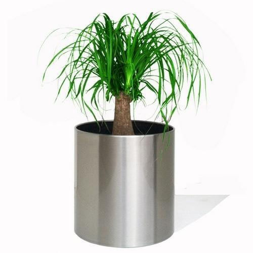 Stainless Steel Cylindrical Planter