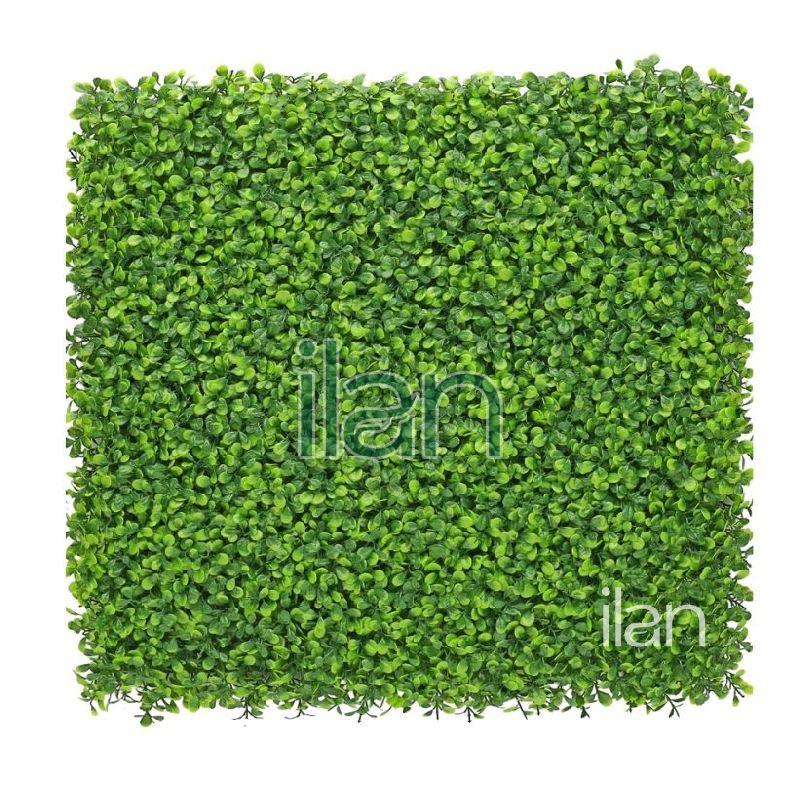 50x50 Cm Minimal Boxwood Artificial Green Wall