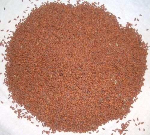 Taramira Seeds