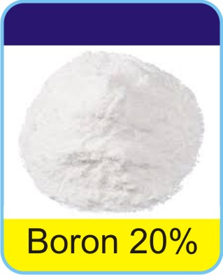 Boron Powder