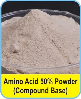 Compound Base Amino Acid Powder