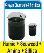 Humic Seaweed Amino Silica Liquid