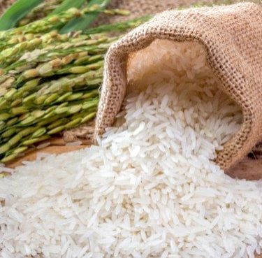Sona Masonry Rice
