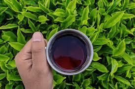 Sri Lanka Tea