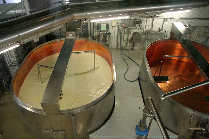 Cheese Processing Plant