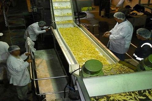 Frozen Snacks Plant