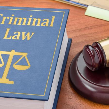 Criminal Case Lawyer Consultancy Services