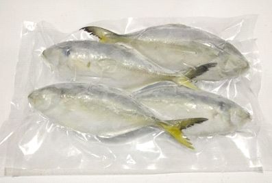 Frozen Yellow Tail Scad