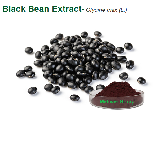 Black Bean Extract- Glycine max (L.)