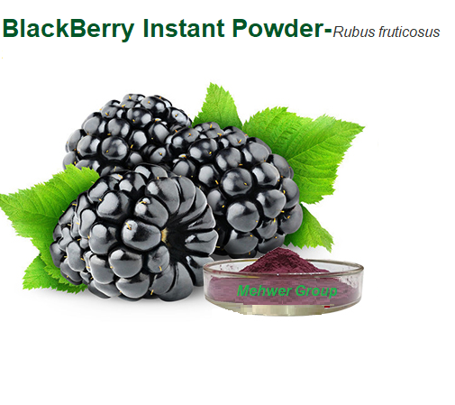 BlackBerry Instant Powder- Rubus fruticosus