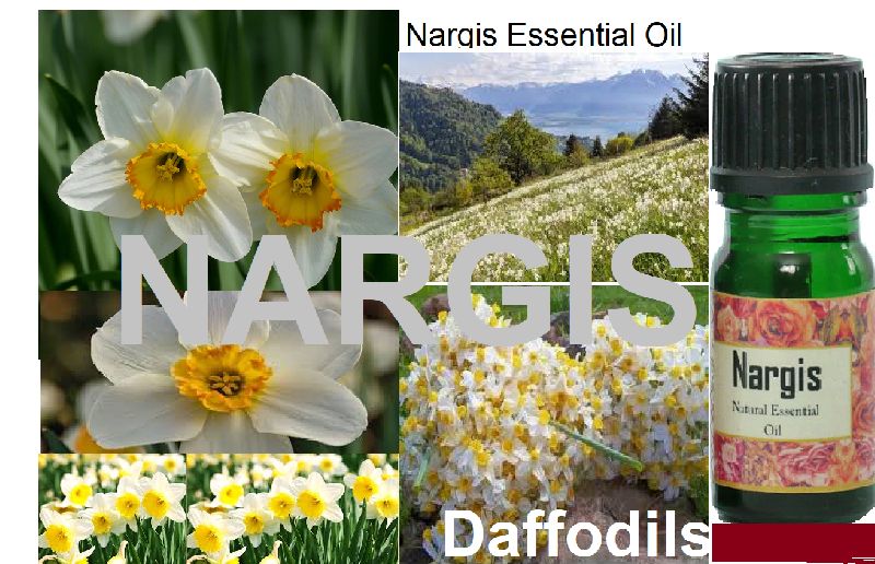 Nargis Essential Oil