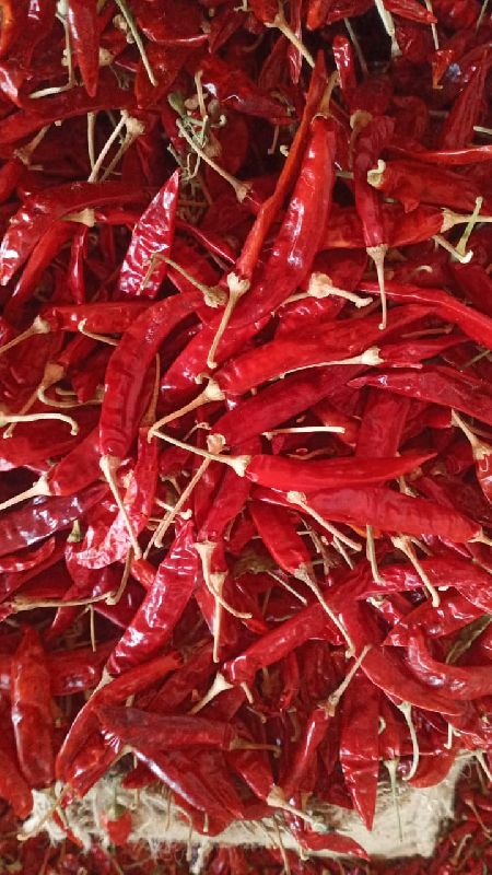 Dried Red Chilly