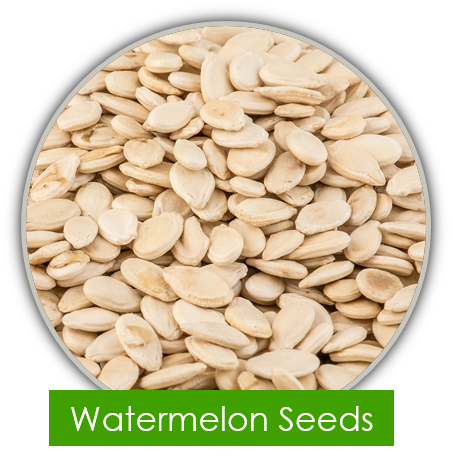 Watermelon Seeds
