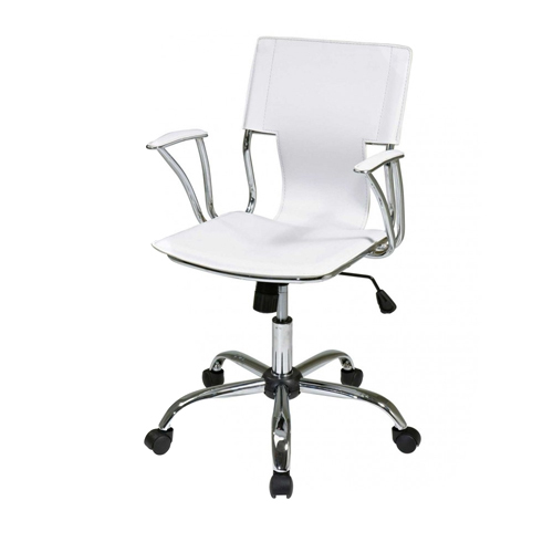 Stainless Steel Office Chair