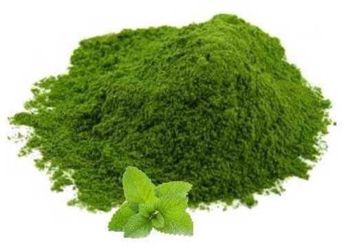 Dehydrated Mint Powder