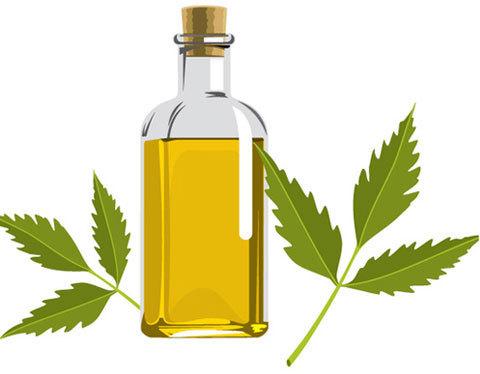 Neem Essential Oil