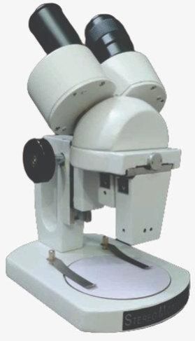 0146 Inclined Binocular Stereo Microscope