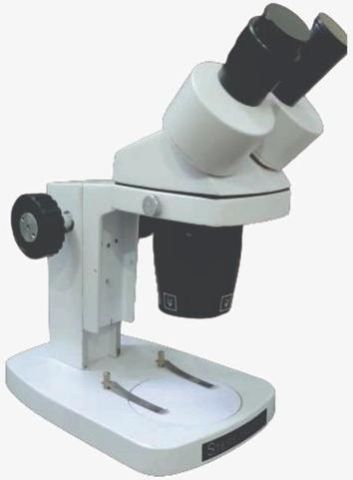 0147 Inclined Binocular Stereo Microscope