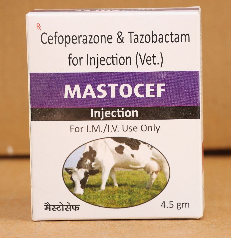 Mastocef Veterinary Injection