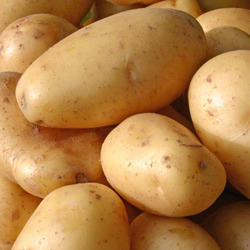 3797 Potato
