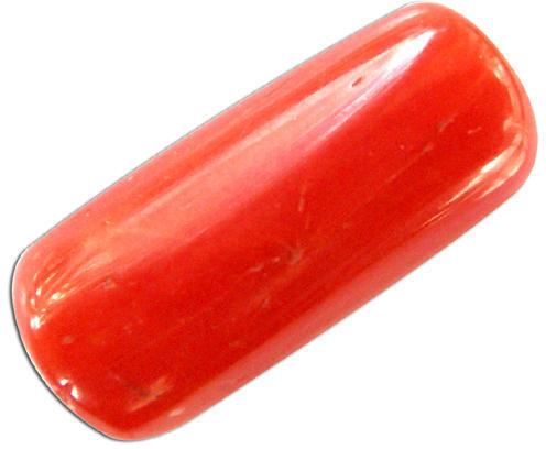Oval Red Coral Gemstone
