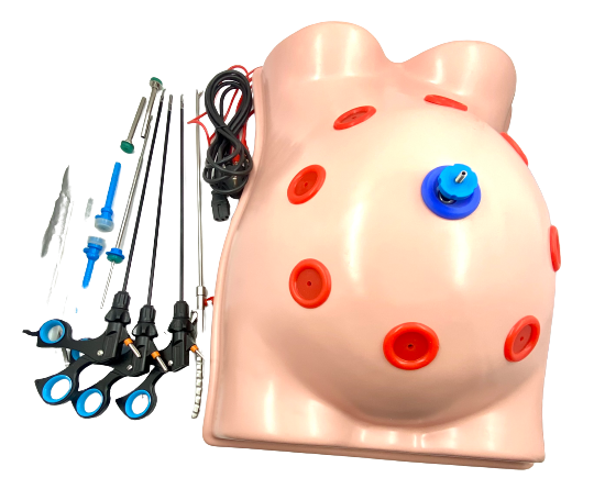 laparoscopic virtual endo trainer