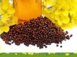 Mustard Seeds