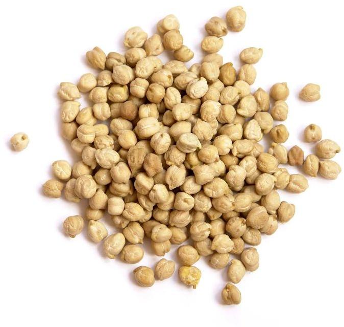 White Chickpeas
