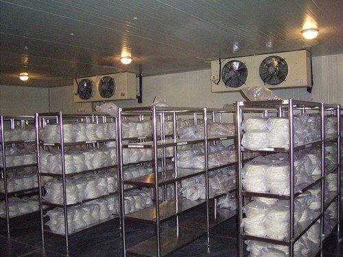 Frozen Meat Storage Room