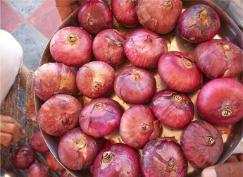 Balwan Onion