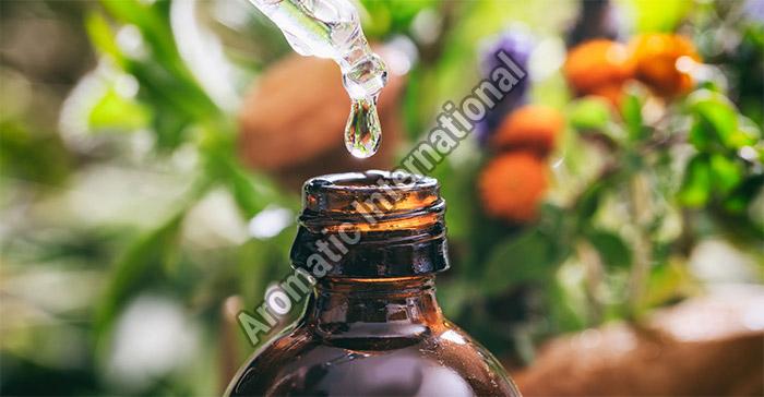 Aromatherapy Blend Fragrance