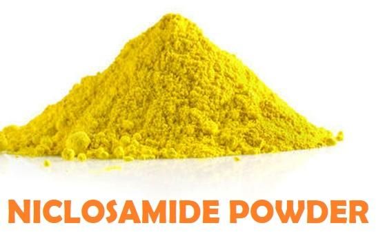 Niclosamide powder