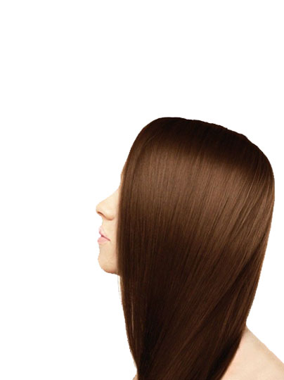 Light Brown Hair Color