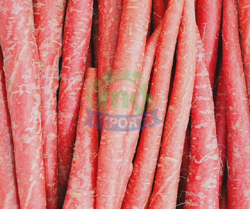 Fresh Red Carrot