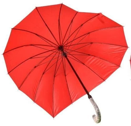 Heart Shaped Umbrella