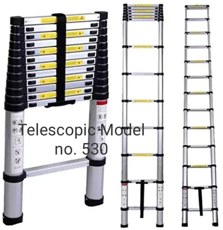 Telescopic Ladder