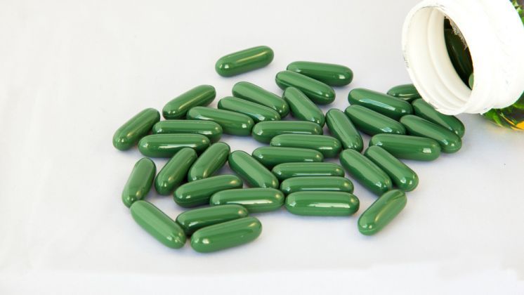 Fat Burner Capsules