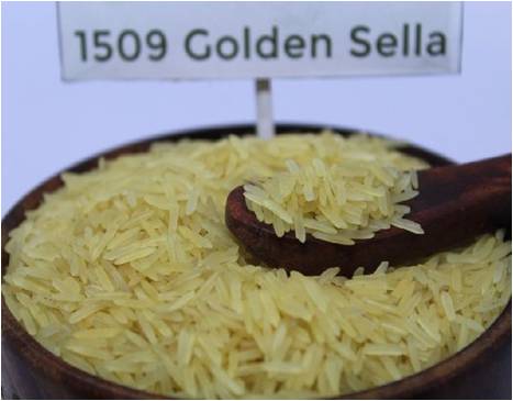 1509 Golden Sella Basmati rice