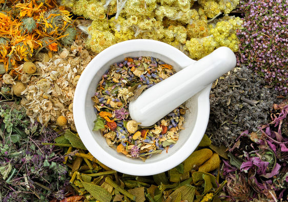Wellness Herbs Supplier Kazakhstan