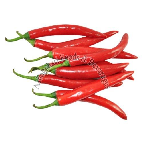 Fresh Red Chilli