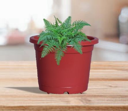 Nursery Plastic Planter