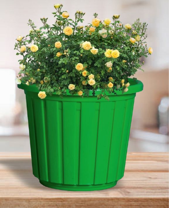 Olive Plastic Pot