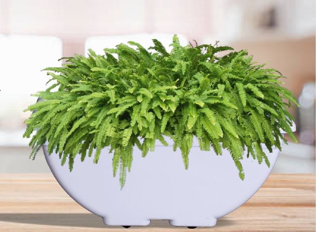 Window Wheel Plastic Planter