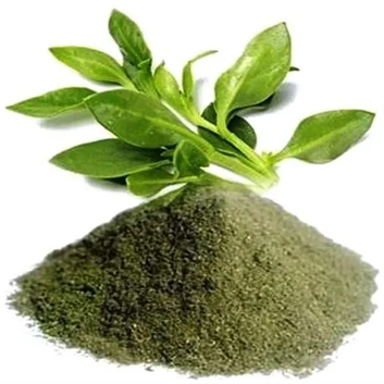 Kalmegh Leaves Powder - Andrographis Paniculata